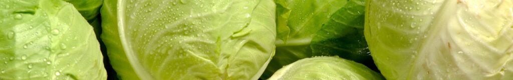 Quali verdure sono consentite nella dieta chetogenica, cavolo cappuccio