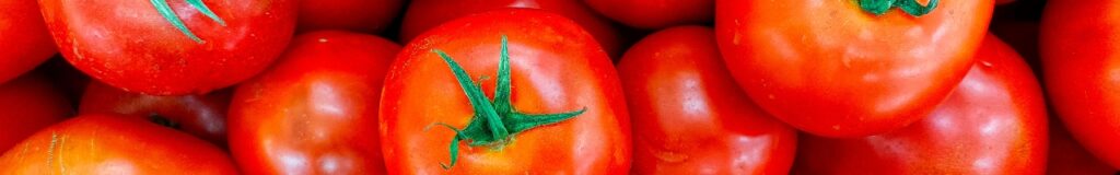 Quali verdure sono consentite nella dieta chetogenica, pomodoro