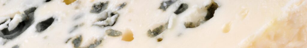 Quali formaggi sono consentiti nella dieta chetogenica? Roquefort