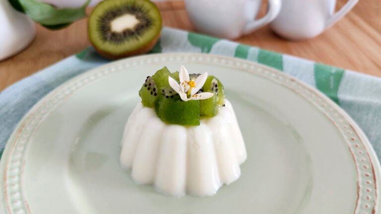 Budino keto zero carboidrati