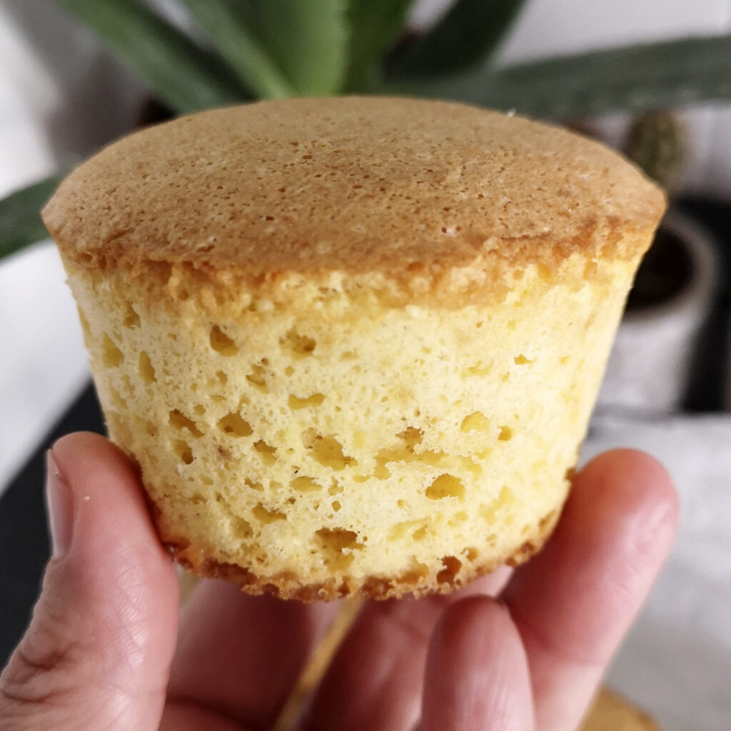 Pan di Spagna chetogenico